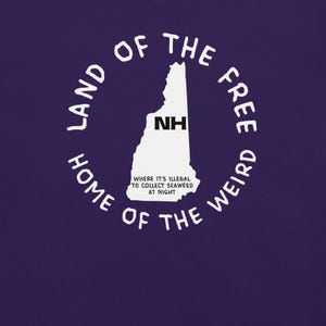 Camiseta del estado de New Hampshire, camiseta con el mapa de New Hampshire, camiseta con leyes estatales peculiares, camiseta con gráfico de NH, camiseta con ciudades de New Hampshire, camiseta ingeniosa