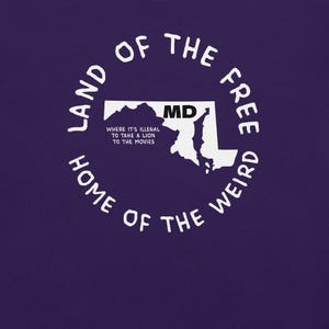 Camiseta del estado de Maryland, camiseta con el mapa de Maryland, camiseta con leyes estatales raras, camiseta con gráficos de Maryland, camiseta con ciudades de Maryland, camiseta ingeniosa, camiseta con estados de EE. UU.