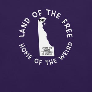 Camiseta del estado de Delaware, camiseta con el mapa de Delaware, camiseta con leyes estatales raras, camiseta con gráficos de Delaware, camiseta con ciudades de Delaware, camiseta ingeniosa, camiseta con estados de EE. UU.