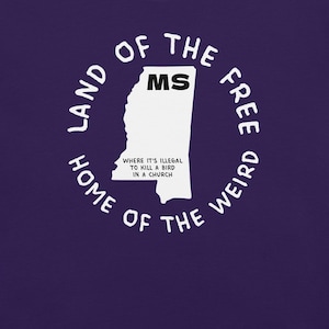Camiseta del estado de Misisipi, camiseta con el mapa de Misisipi, camiseta con leyes estatales raras, camiseta con gráficos de Misisipi, camiseta con ciudades de Misisipi, camiseta ingeniosa