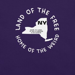 Chemise État de New York, chemise carte de New York, t-shirt lois étranges de l'État, t-shirt graphique New York, chemise villes de New York, t-shirt spirituel, t-shirt États-Unis