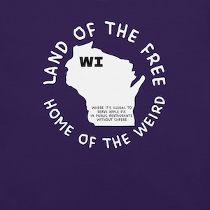 Camiseta del estado de Wisconsin, camiseta con el mapa de Wisconsin, camiseta con leyes estatales raras, camiseta con gráficos de Wisconsin, camiseta con ciudades de Wisconsin, camiseta ingeniosa