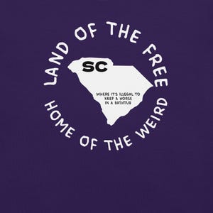 Camiseta del estado de Carolina del Sur, camiseta con el mapa de Carolina del Sur, camiseta con leyes estatales raras, camiseta con gráfico de Carolina del Sur, camiseta con ciudades de Carolina del Sur, camiseta ingeniosa