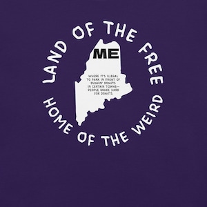 Camiseta del estado de Maine, camiseta con el mapa de Maine, camiseta con leyes estatales raras, camiseta con gráfico de Maine, camiseta con ciudades de Maine, camiseta ingeniosa, camiseta con estados de EE. UU.