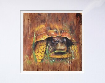Box Turtle Painting Print, Matted Turtle Wall Art