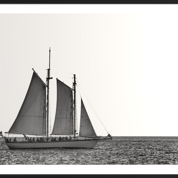 Key West / Sailing / Sailboat / Black and White / Photo / Photography / Print / Coastal / Nautical / Landscape / Wall Art / Decor