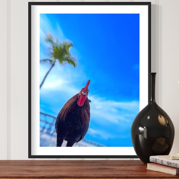 Rooster / Chicken / Higgs Beach / Key West / Florida / Photo / Photography / Print / Digital / Download