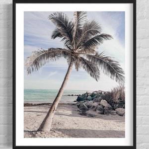 Lone Palm / Key West / Florida / Ft Zachary Taylor / Spiaggia / Tramonto / Costiero / Foto / Fotografia / Paesaggio