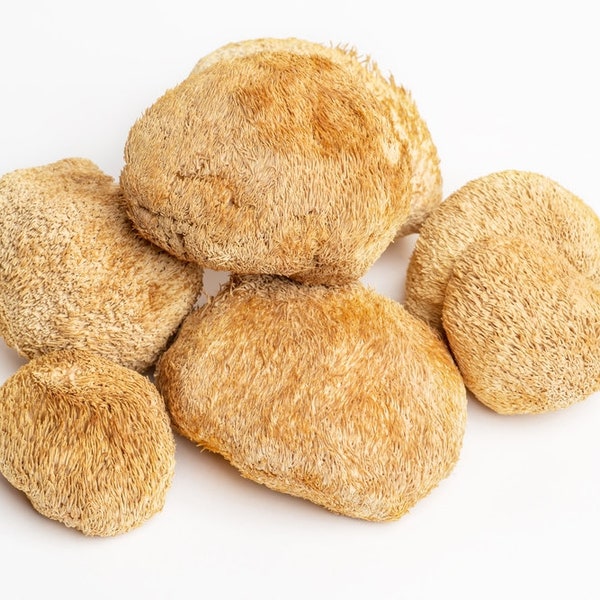 1lb Organic Dried Lion's Mane Mushroom Whole Dry