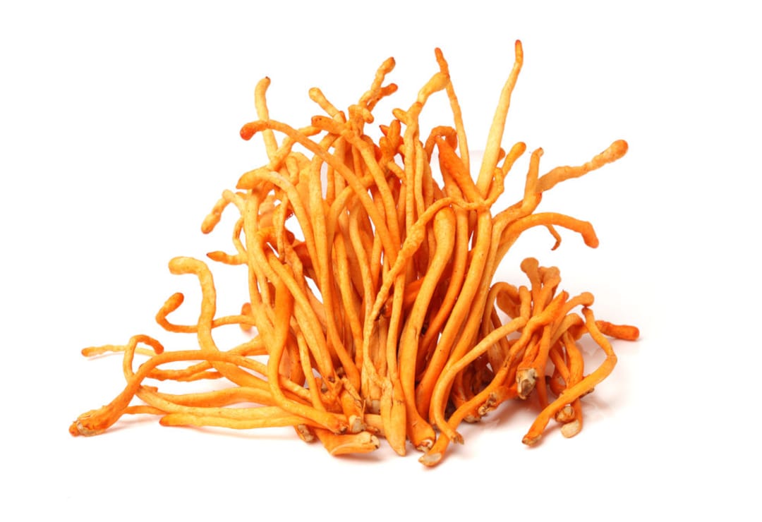 Buy Cordyceps Militaris Mushrooms - Organic Dried - Whole Online in India -  Etsy