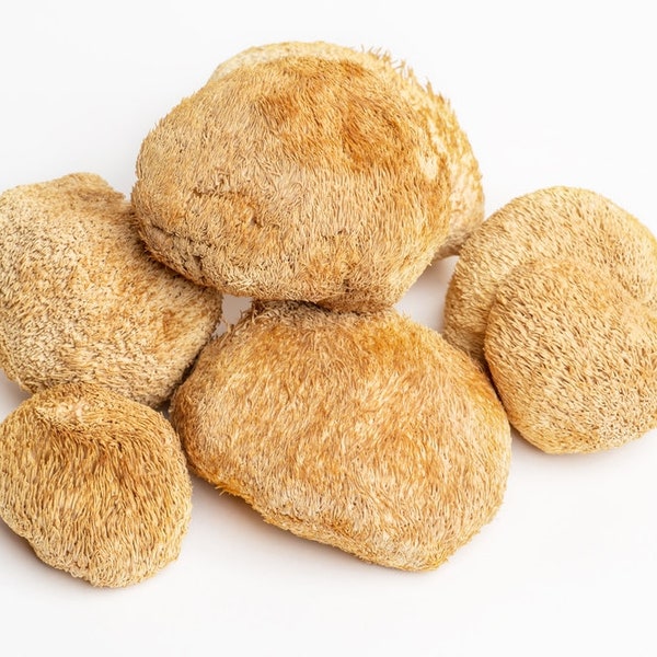 Organic Dried Lion's Mane Mushroom Whole