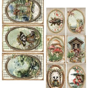 scrapbooking cards set 30.5×15 cm | friends of the forest | alchemy of art | 250 gsm | 6 sheets | cutouts for albums & cards