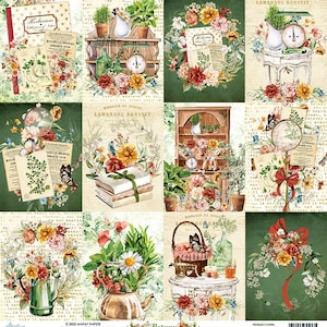 12 x 12, 1 sheet, Mintay Paper, BOTANY, Exquisite Scrapbooking Paper Sheet, Card Stock