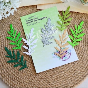 Matrices de découpe en métal « Rukola », AgiArt, pochoirs de gaufrage, matrices de scrapbooking, fabrication de cartes à faire soi-même, pour papier découpé