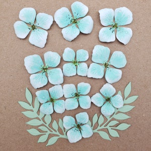 Set da 12 fiori e foglie di carta per creazioni artigianali straordinarie