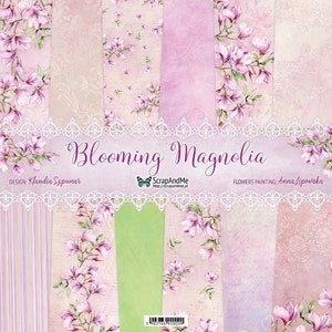 Kies een collectie, ScrapAndMe, dubbelzijdige scrapbookpapier set 12 x 12, 6 vellen, karton