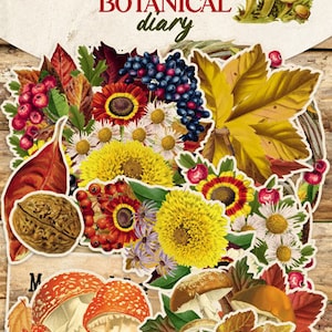 Zestaw wykrojników Jesienny botaniczny pamiętnik, 63 szt., Wykrojniki Fabrica Decoru, Styl jesienny, Ephemera, Scrapbooking, Cardmaking, Tagi, Dzienniki