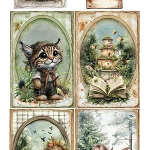 scrapbooking cards set 30.5×15 cm | friends of the forest | alchemy of art | 250 gsm | 6 sheets | cutouts for albums & cards