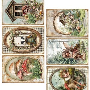 scrapbooking cards set 30.5×15 cm | friends of the forest | alchemy of art | 250 gsm | 6 sheets | cutouts for albums & cards
