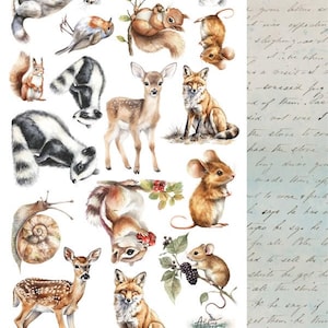 Erinnerung an den Frühling – Tiere des Waldes | 12x6" Scrapbook Papier | Doppelseitiges Blatt | 250gsm Stanzteile | Niedliche Waldwesen | Alchemie der Kunst