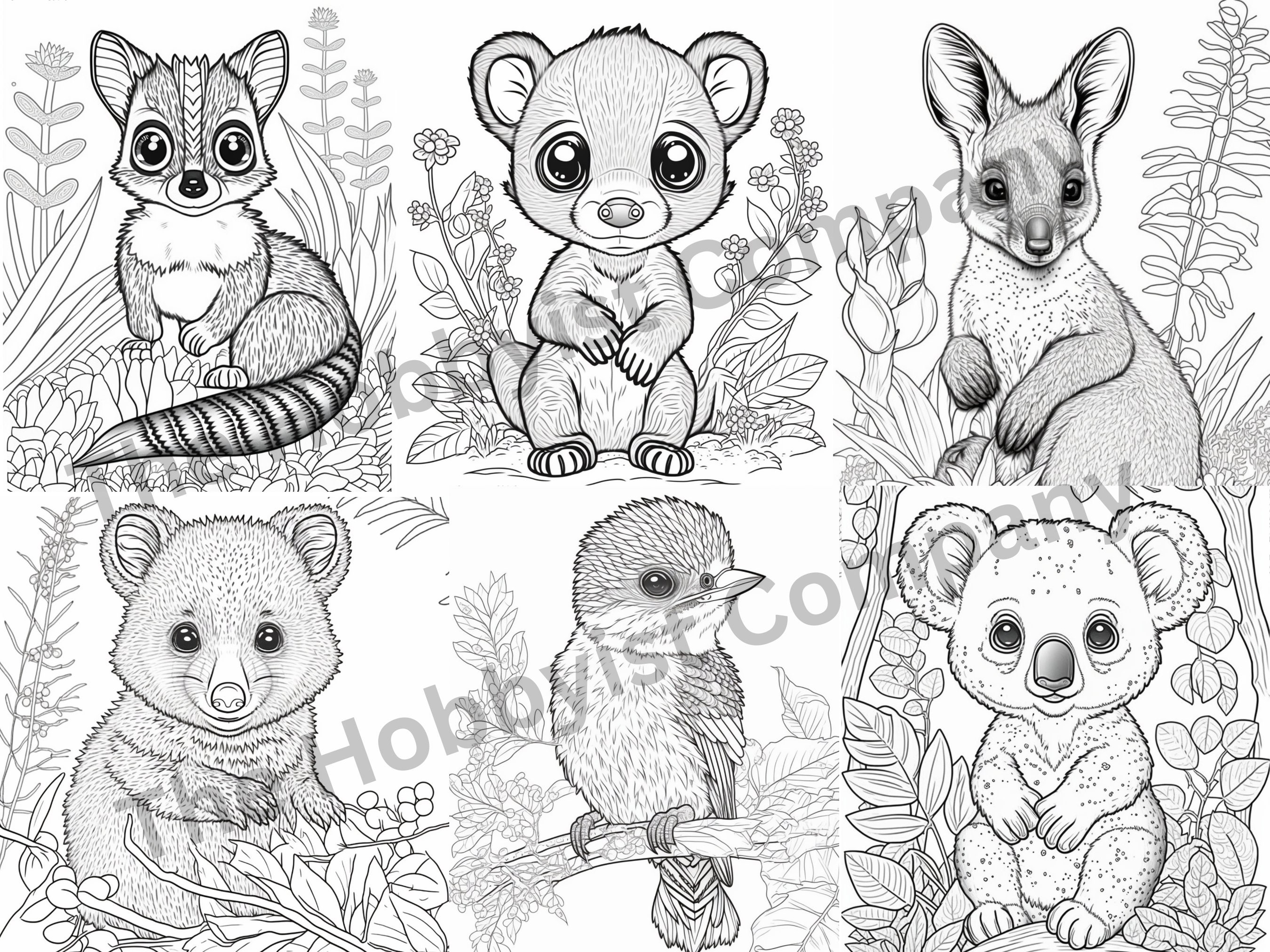 Australian Baby Animals Coloring Pages, Digital Coloring Book for ...