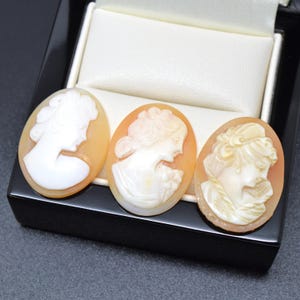 Loose Unmounted Antique Cameo THREE SHELL CAMEOS Art Crafts & Jewellery Making