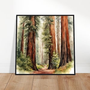 Redwood National Park Kunst, Redwood-schilderij, Redwood-aquarelkunst, Aquarelkunst, Aquarelprints, Aquarel Tekening, Woondecoraties