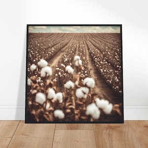 Cotton Field Vintage Painting, Vintage Print, Vintage Wall Art, Poster Art Vintage, Vintage Poster Art, Vintage Poster, Vintage Art