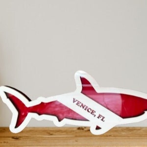 Scuba Diving Custom Shark Tooth Shadow Box – Display Your Treasures!
