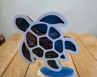 Turtle Custom Shark Tooth Shadow Box – Display Your Treasures!