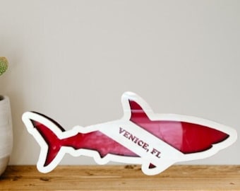 Scuba Diving Custom Shark Tooth Shadow Box – Display Your Treasures!