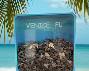 Shark Tooth Shadow Box (3D version)