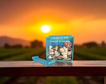 Seashell Shadow Box (3D version)