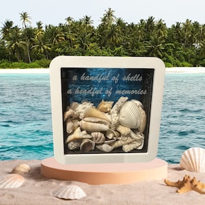 Small Seashells Shadow Box