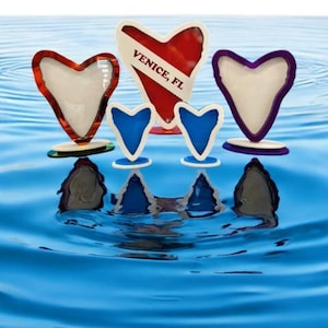 Meg Custom Shark Tooth Shadow Box – Display Your Treasures!