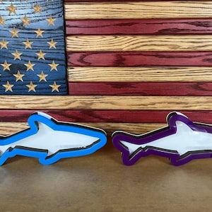 Custom Shark Tooth Shadow Box – Display Your Treasures!