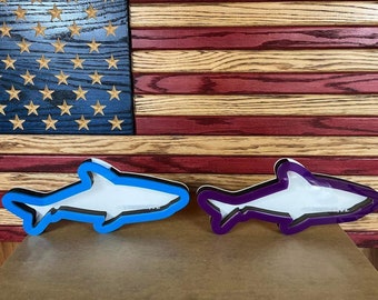 Custom Shark Tooth Shadow Box – Display Your Treasures!