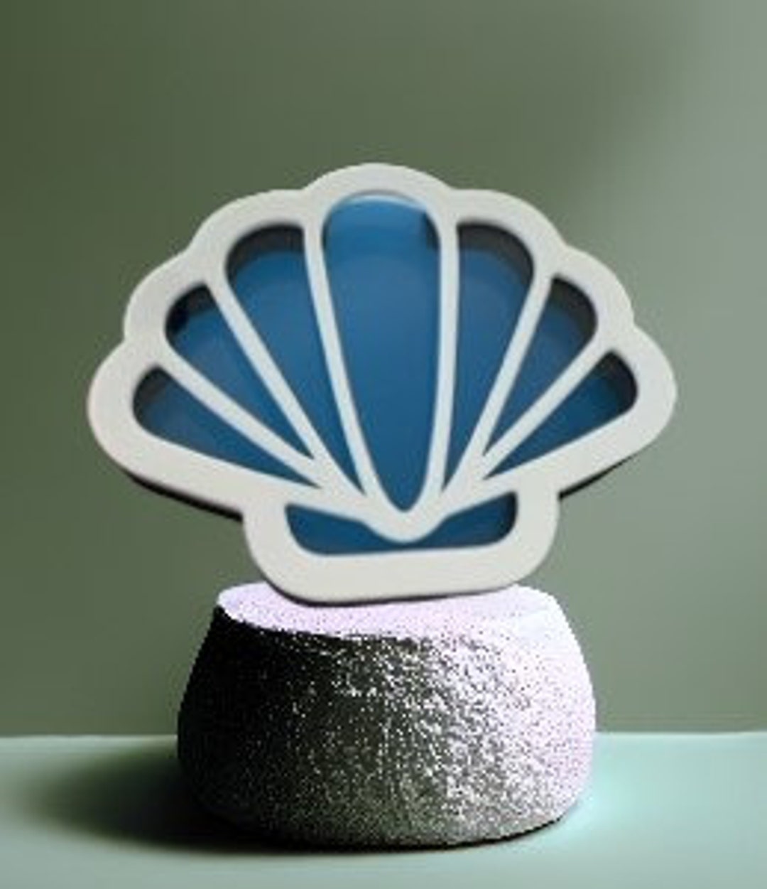 Seashell Shaped Custom Shark Tooth/shells Shadow Box – Display Your ...