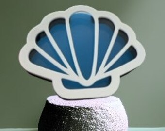 Seashell Shaped Custom Shark Tooth/Shells Shadow Box – Display Your Treasures!