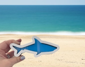 Mini Shark Custom Shark Tooth Shadow Box – Display Your Treasures!