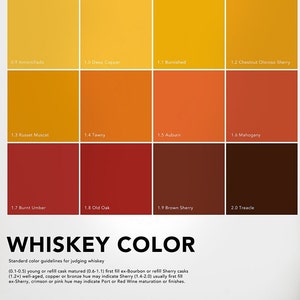 Whiskey Color Guide Whiskey Color Guide Art Print: Whiskey Lover Gift - Etsy