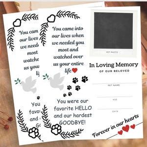 Certificado Memorial para Animais de Estimação | Presente Memorial para Animais de Estimação | Lembrança Memorial para Animais de Estimação | Carta dos EUA para Impressão | Impressão em Tamanho A4 | Download Instantâneo em PDF