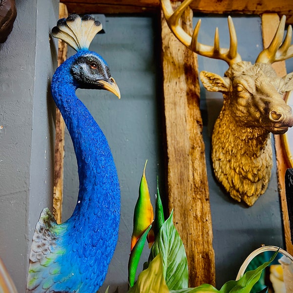 Large Peacock Wall Head - Back In Stock