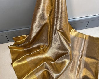 Banarasi Kanjivaram Tissue Silk Saree: Golden Zari Brocade, Bollywood Style