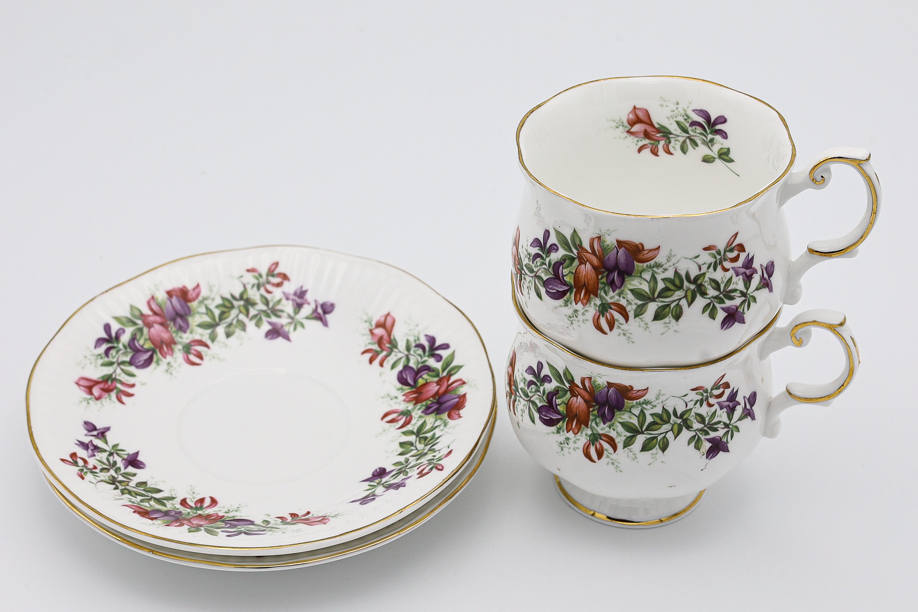 Queen's Tea Cup and Saucer X2 Fine Bone China Rosina China CO. Ltd Wild Flowers Made in England