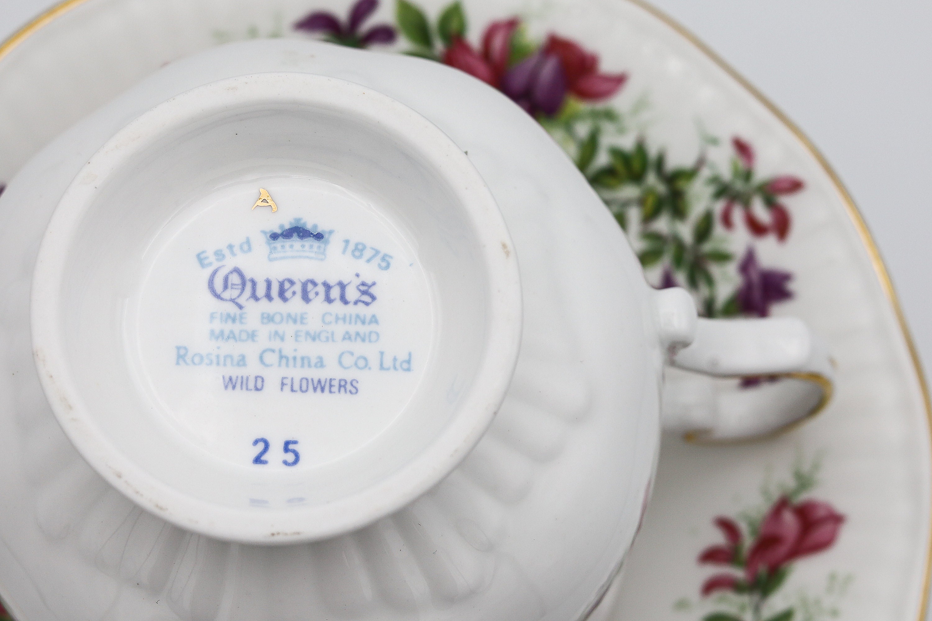 Queen's Tea Cup and Saucer X2 Fine Bone China Rosina China CO. Ltd Wild Flowers Made in England