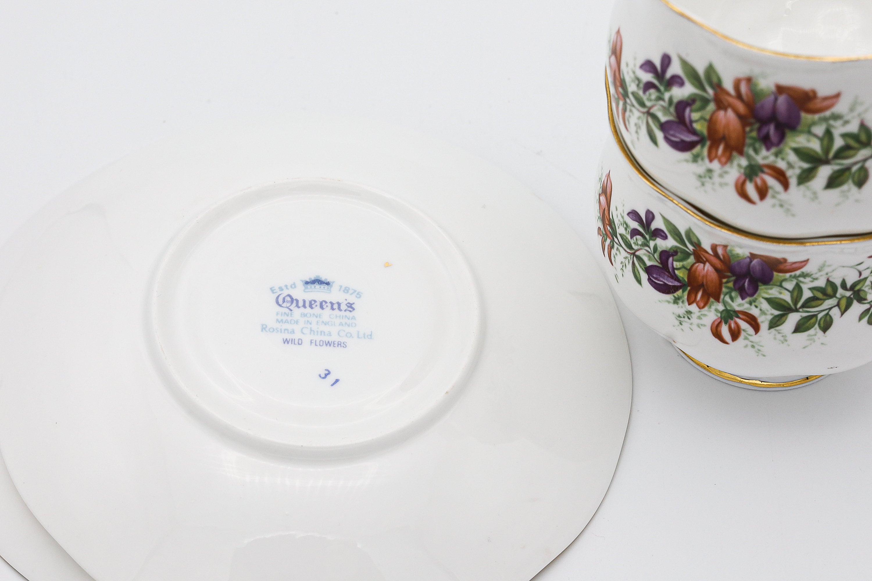 Queen's Tea Cup and Saucer X2 Fine Bone China Rosina China CO. Ltd Wild Flowers Made in England