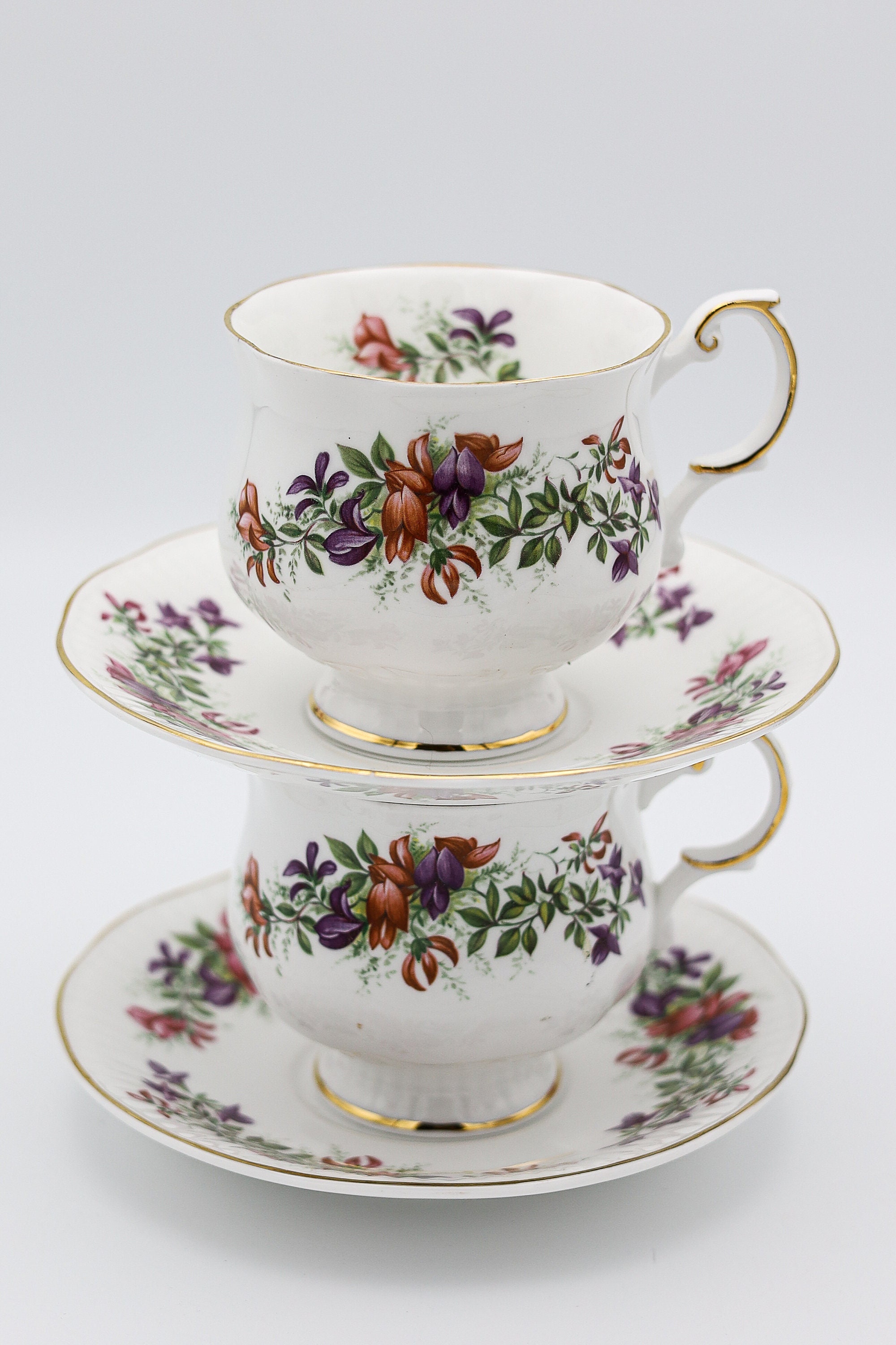 Queen's Tea Cup and Saucer X2 Fine Bone China Rosina China CO. Ltd Wild