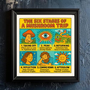 Cosmic Journey Guide – grappige psychedelische paddenstoeltrip Art Print, trippy poster, visuele stadia-grafiek, decor Psy Humor
