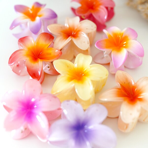 Blumen Haarspange, Flower Hairclip, Hibiskus Haarspange, Blumen Klaue